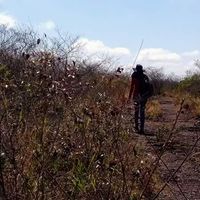 Raquel Feitosa的照片