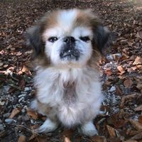 Photos de Simone Welti