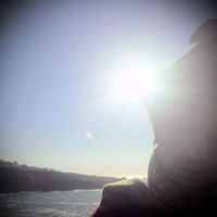 Diogo Sardinha Oliveira的照片