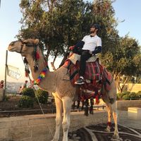 Andres Felipe Rueda Ayala's Photo