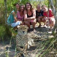 Lauren McKallor's Photo