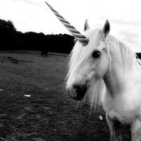 Ioana Mares的照片