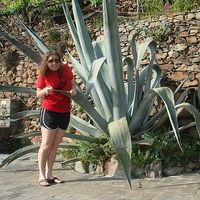 Sonia Golemme的照片