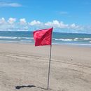 Book Club Bali 's picture