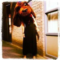 Yvon Hollander的照片