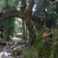 Isidora  Corfu的照片