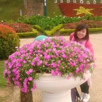 Phát Nguyễn Hồng's Photo