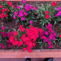 Karl Zhuang的照片