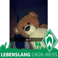 Simon Frieling的照片