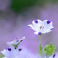 Фотографии пользователя Be Truong