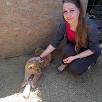 Fotos de Ingrid Nemeth