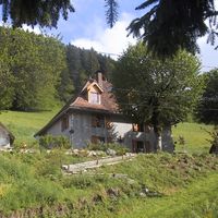 Rachel Daviaud's Photo