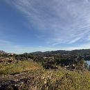 Jungle Trekking 's picture