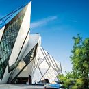 🦖 An evening at the ROM 🦕 🦥's picture