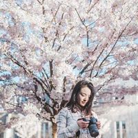 Фотографии пользователя Erica Li