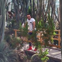 Boyan Rachev's Photo