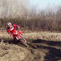 Stefano Carlotti's Photo