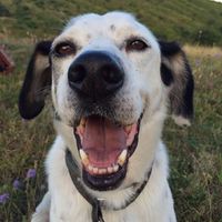 Fotos de Angela Newman