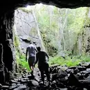 🏰  Bunker Hike | Explore Helsinki's WW1 Fortress's picture