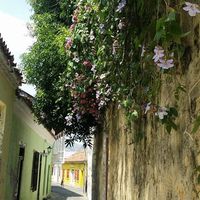 Andrea Torres's Photo