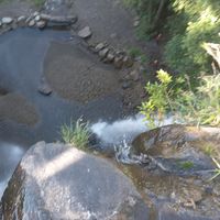 Francis Ayuy's Photo