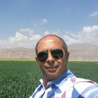 Massoud Shahabi的照片