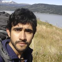 José Pablo Mercado的照片