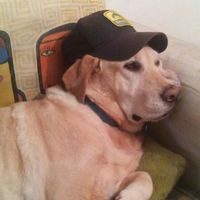 Le foto di lucas vacchina