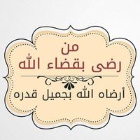 Essam Kassem的照片