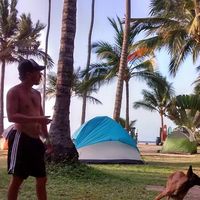 Le foto di David Lewengood