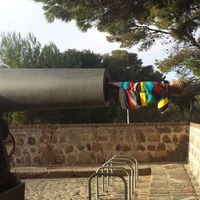 Florian Albrecht的照片