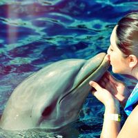 BIANCA ZAMBRANO's Photo