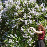 Julia Firsova's Photo