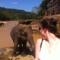 Sophie Schade's Photo