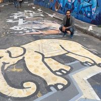 Walid Kamal的照片