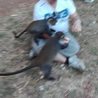 Giovanni Allegrini's Photo