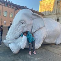 Fotos von Sevil Aksüt