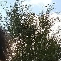 Ana Paz Perez的照片