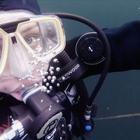 Stefanie Kretsch's Photo