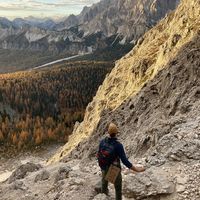 François Nicolas的照片