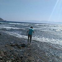 Mo'men Mahmood's Photo