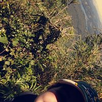 Ana Helena Guil Fernandes's Photo