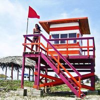 Grace Rodriguez's Photo