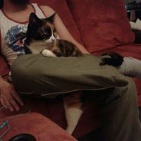 Alejandro Monterrosas的照片