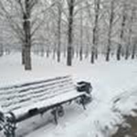 Godwin Godwin's Photo