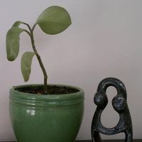 Beit Gorski的照片