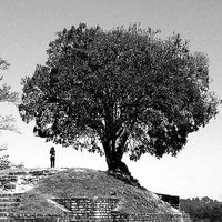 Sarah Morehouse的照片