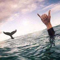 Pierre Mateau的照片