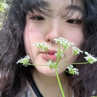 Fotos de Seunghye Baek