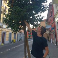 Fotos de Matthew Bendure